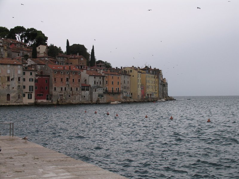 2012-09-13 12-09-24 Ludo.JPG